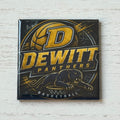 Dewitt Panthers Basketball