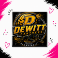 Dewitt Panthers Basketball