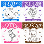 Dry Erase Color & Learn Magnet Set