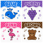 Learn Your Colors Magnet Set